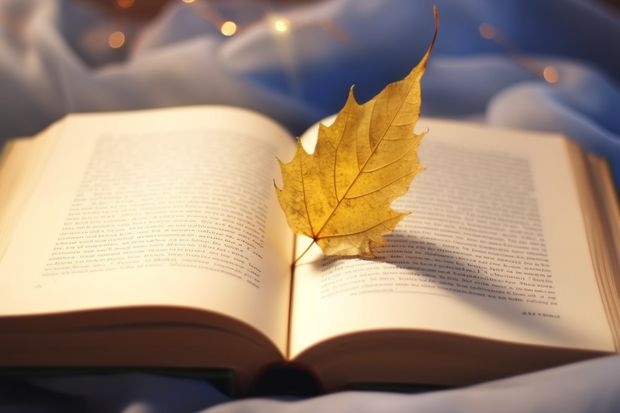 怀化师范高等专科学校录取分数线是多少？