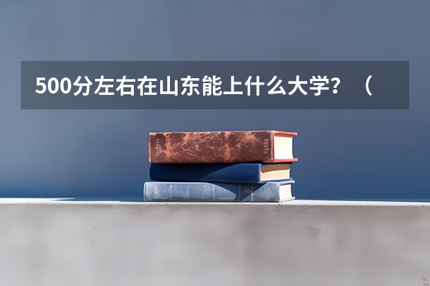 500分左右在山东能上什么大学？（文科)