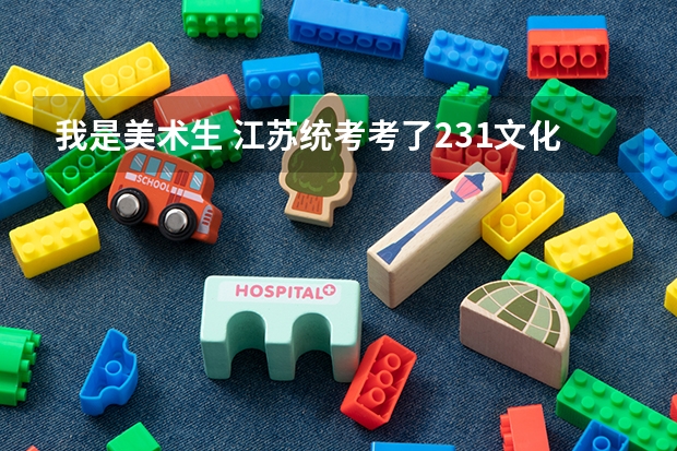 我是美术生 江苏统考考了231文化课 考多少才能上本科