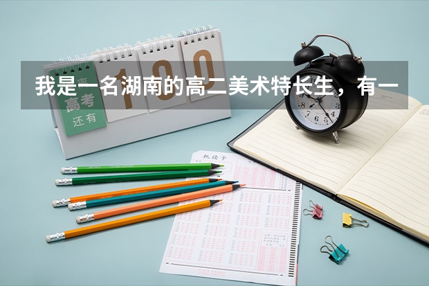 我是一名湖南的高二美术特长生，有一定的美术基础，但是文化现在大概考300分左右，不知道有什么大学适合我