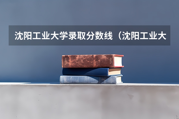 沈阳工业大学录取分数线（沈阳工业大学二本专业分数线）
