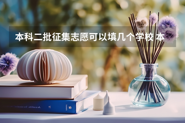 本科二批征集志愿可以填几个学校 本科二批征集志愿