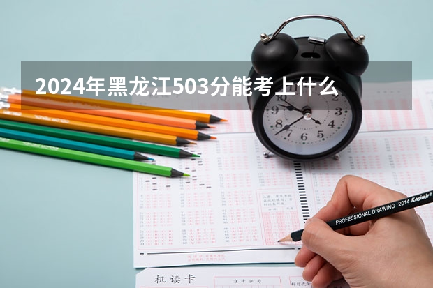 2024年黑龙江503分能考上什么大学？
