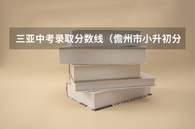 三亚中考录取分数线（儋州市小升初分数排名表）