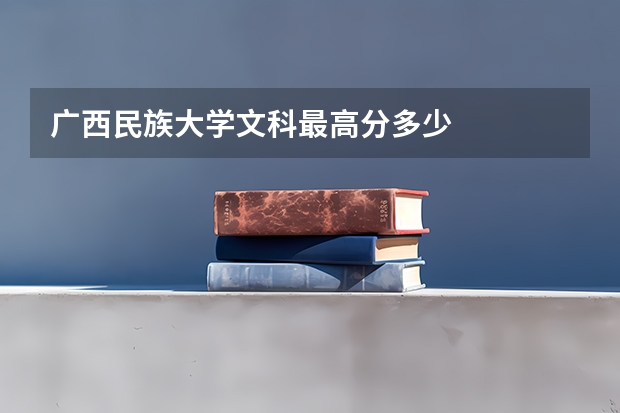 广西民族大学文科最高分多少