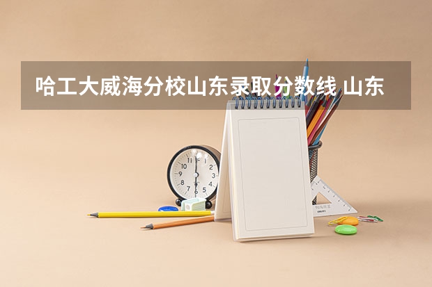 哈工大威海分校山东录取分数线 山东大学2023年录取分数线