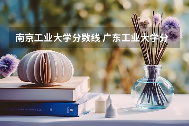 南京工业大学分数线 广东工业大学分数线