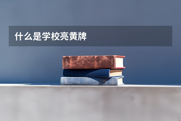 什么是学校亮黄牌