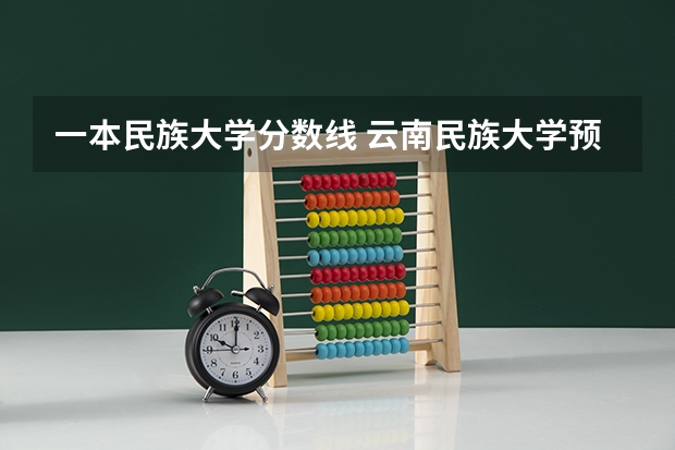 一本民族大学分数线 云南民族大学预科分数线