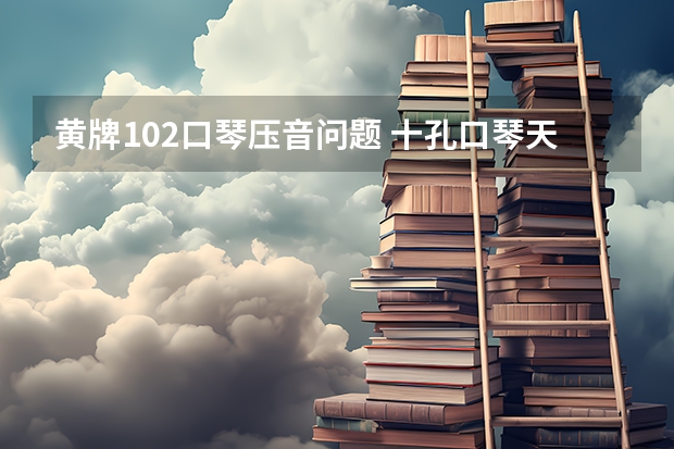 黄牌102口琴压音问题 十孔口琴天鹅好还是黄牌好？