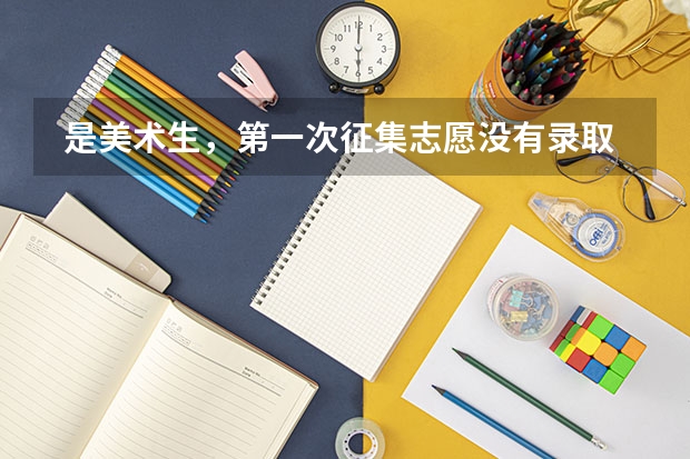  是美术生，第一次征集志愿没有录取，第二次补录怎么填报学校录取几率大。急急急啊