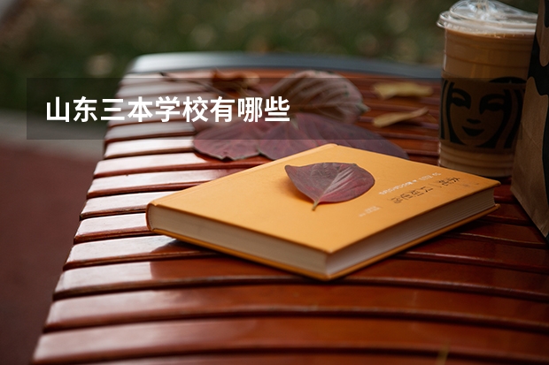 山东三本学校有哪些