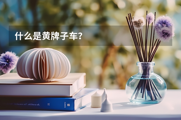什么是黄牌子车？