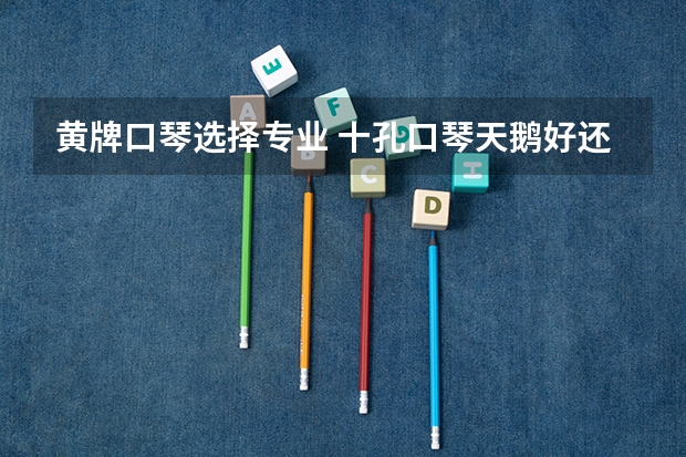 黄牌口琴选择专业 十孔口琴天鹅好还是黄牌好？