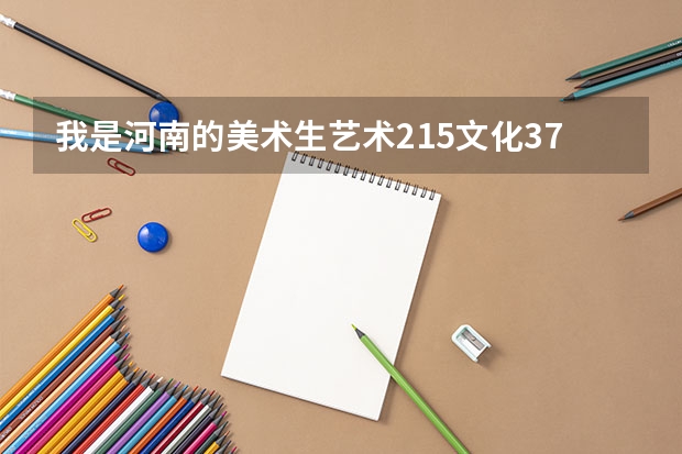 我是河南的美术生艺术215文化374可以报河南的什么学校