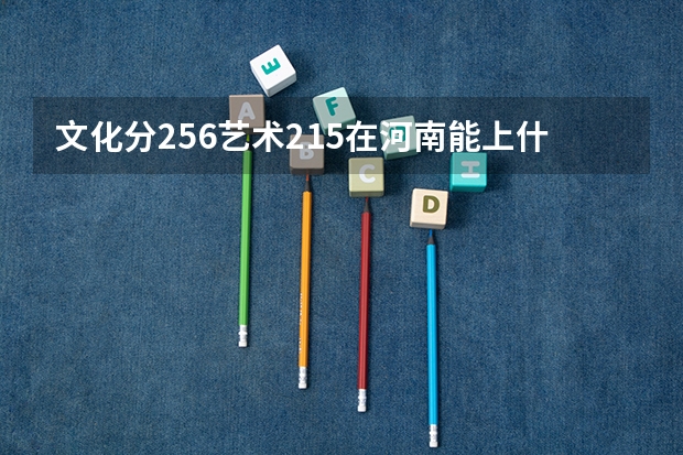 文化分256艺术215在河南能上什么大专?