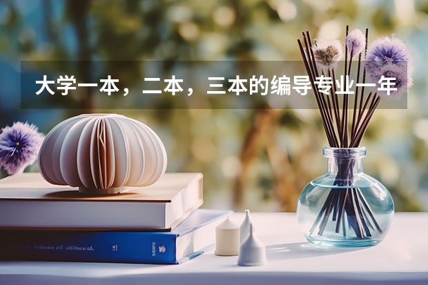 大学一本，二本，三本的编导专业一年的学费分别是多少