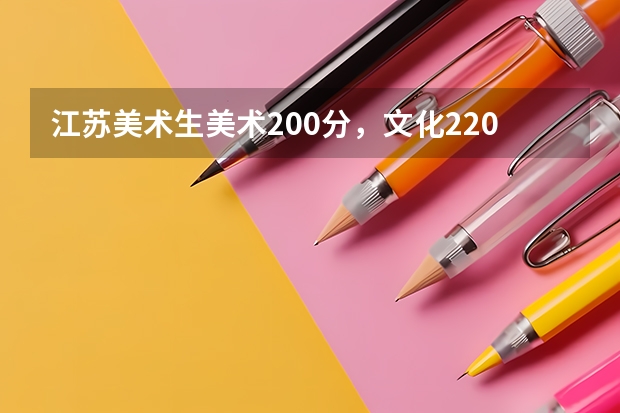 江苏美术生美术200分，文化220，能上什么学校？