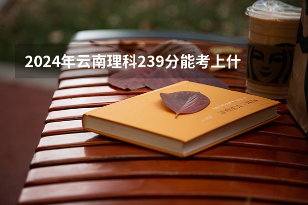 2024年云南理科239分能考上什么大学？