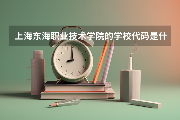 上海东海职业技术学院的学校代码是什么
