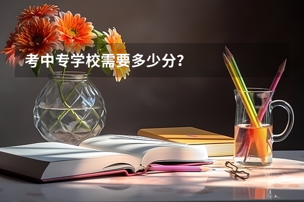 考中专学校需要多少分?