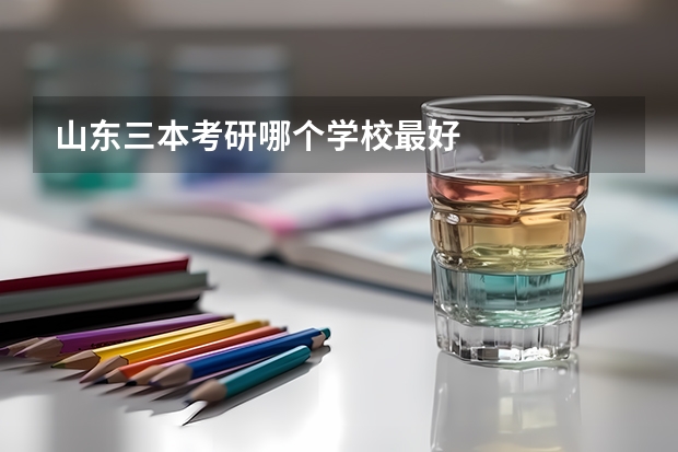 山东三本考研哪个学校最好