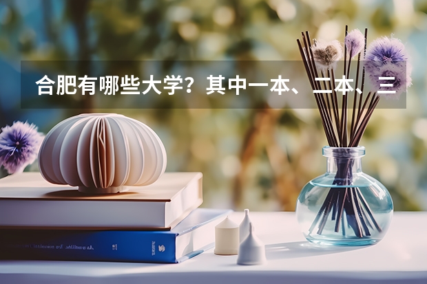 合肥有哪些大学？其中一本、二本、三本的大学各有哪些？