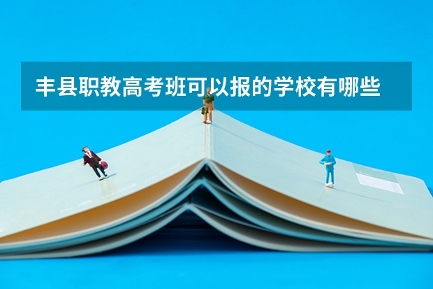 丰县职教高考班可以报的学校有哪些