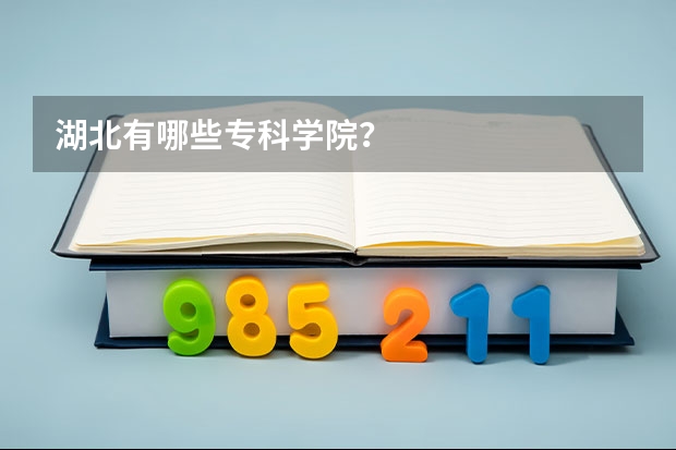 湖北有哪些专科学院？