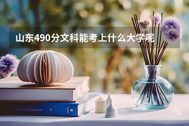 山东490分文科能考上什么大学呢