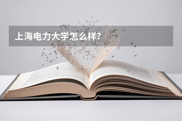 上海电力大学怎么样？