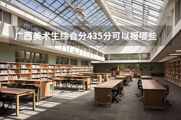 广西美术生综合分435分可以报哪些学校