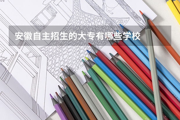 安徽自主招生的大专有哪些学校