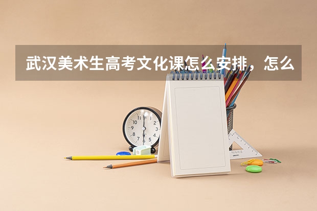 武汉美术生高考文化课怎么安排，怎么复习