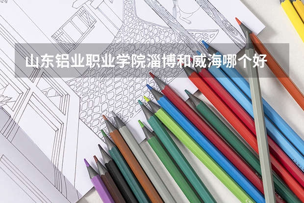山东铝业职业学院淄博和威海哪个好