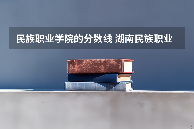 民族职业学院的分数线 湖南民族职业学院录取线