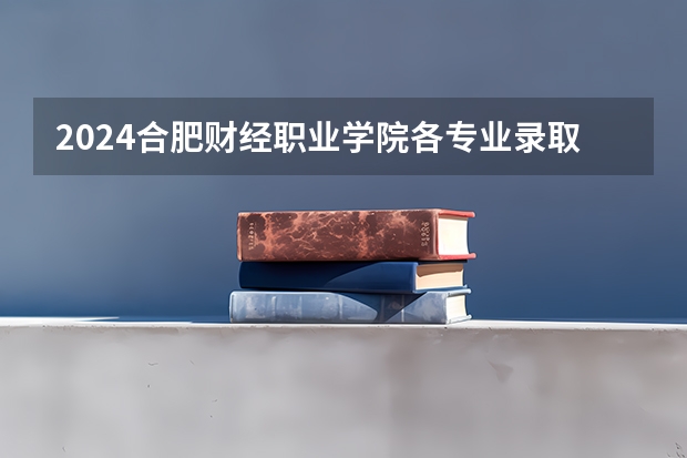 2024合肥财经职业学院各专业录取分数线（石家庄财经职业学院单招录取线）