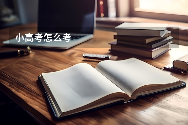 小高考怎么考