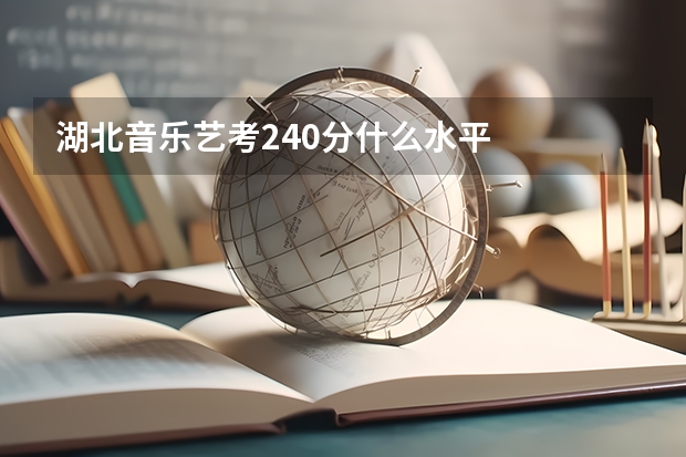湖北音乐艺考240分什么水平