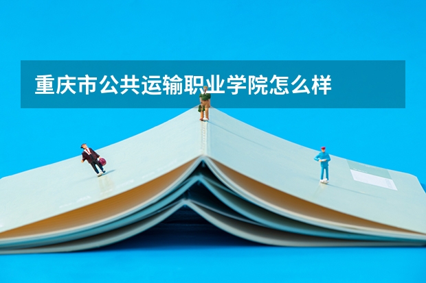重庆市公共运输职业学院怎么样