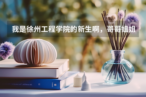 我是徐州工程学院的新生啊，哥哥姐姐给我介绍一下宿舍吧。是公寓式的吗。详细一点啊。谢谢了！！！！！！
