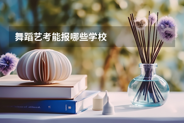 舞蹈艺考能报哪些学校