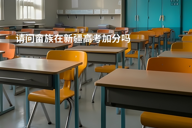 请问畲族在新疆高考加分吗