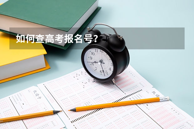 如何查高考报名号？
