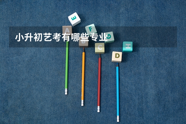 小升初艺考有哪些专业