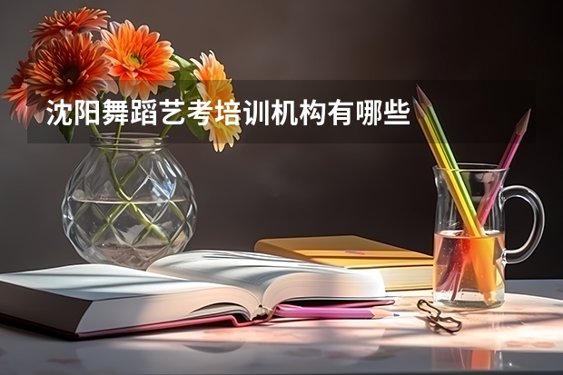 沈阳舞蹈艺考培训机构有哪些