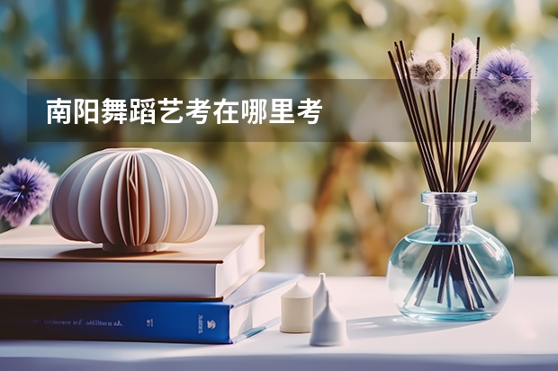 南阳舞蹈艺考在哪里考