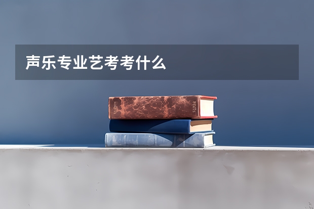 声乐专业艺考考什么