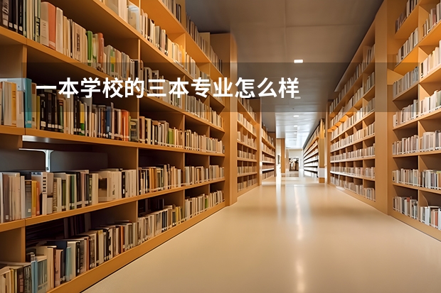 一本学校的三本专业怎么样