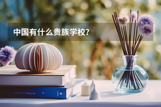 中国有什么贵族学校？